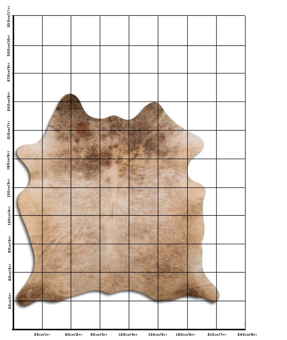 Šampaňská hovězí kůže XL