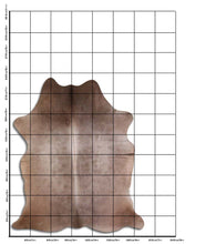 Įkelti vaizdą į galerijos rodinį, Šampaninis karvės kailis XL
