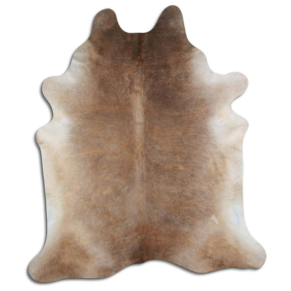 Šampaňská hovězí kůže XXL