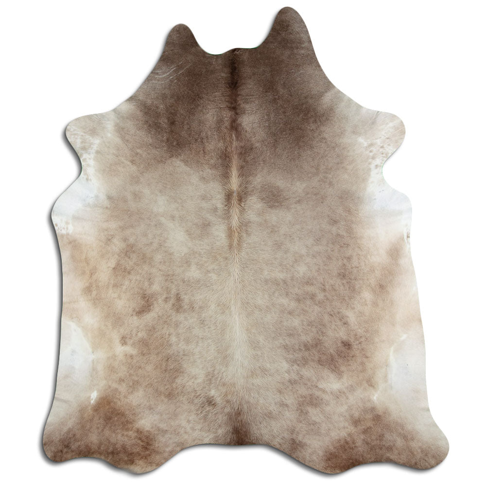 Šampaňská hovězí kůže XXXL