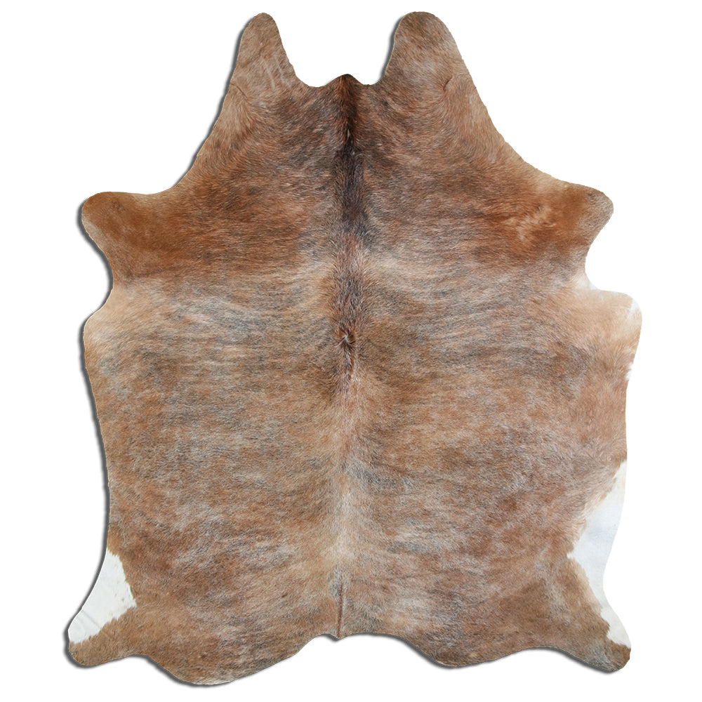 Exotická hovězí kůže XL