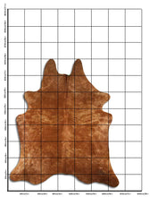 Načíst obrázek do prohlížeče Galerie, Exotická hovězí kůže XL
