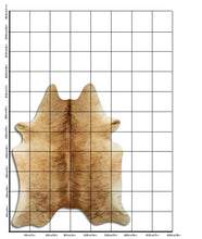 Načíst obrázek do prohlížeče Galerie, Exotická hovězí kůže XL
