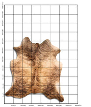 Načíst obrázek do prohlížeče Galerie, Exotická hovězí kůže XL
