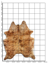 Načíst obrázek do prohlížeče Galerie, Exotická hovězí kůže XL

