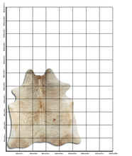 Načíst obrázek do prohlížeče Galerie, Exotická hovězí kůže L
