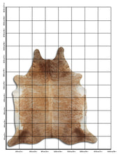 Načíst obrázek do prohlížeče Galerie, Exotická hovězí kůže XXL
