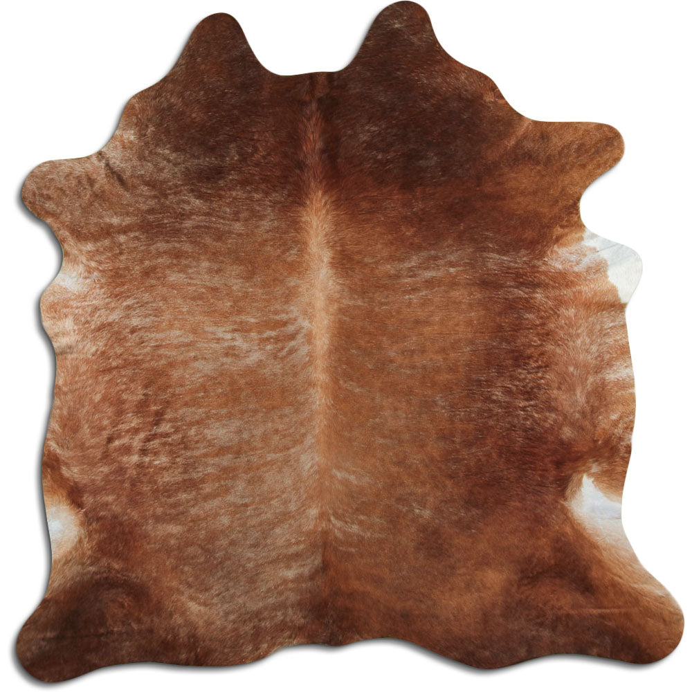 Exotická hovězí kůže XL