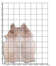 Načíst obrázek do prohlížeče Galerie, Šedá hovězí kůže XL
