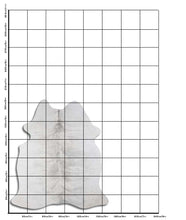 Įkelti vaizdą į galerijos rodinį, Pilkas karvės kailis M
