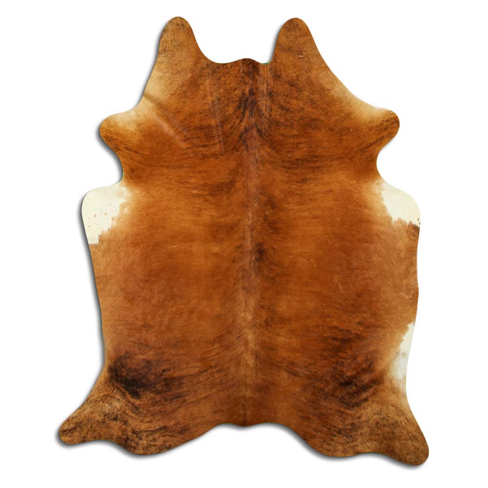 Exotická hovězí kůže L