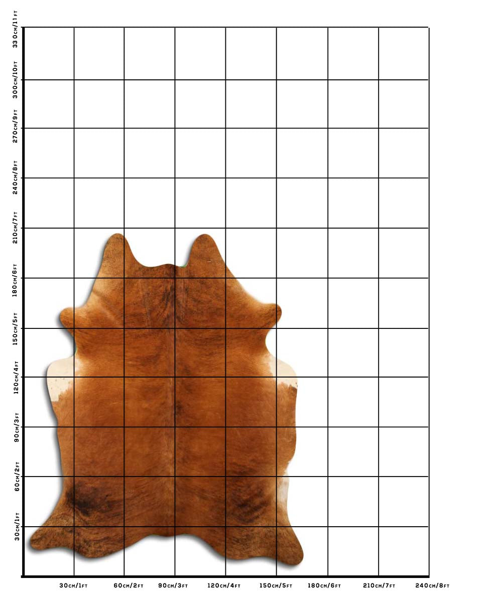 Exotická hovězí kůže L