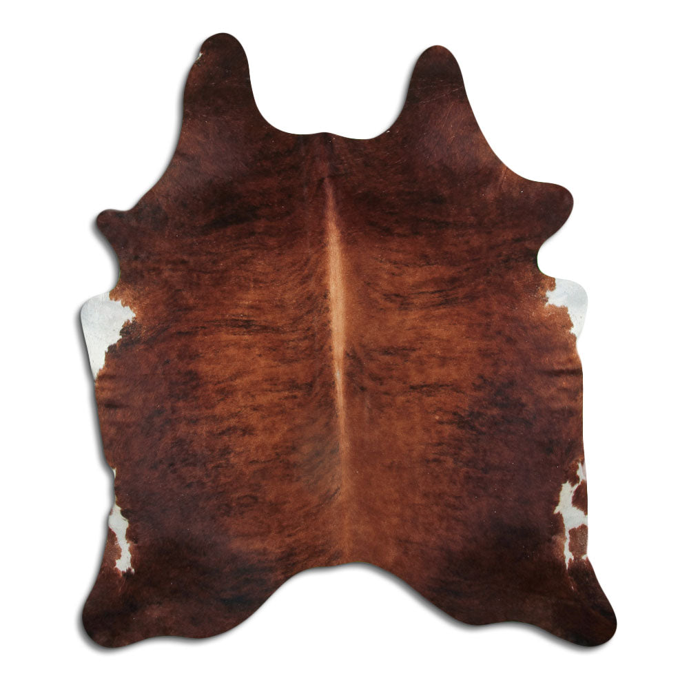 Exotická hovězí kůže L