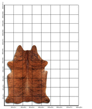 Načíst obrázek do prohlížeče Galerie, Exotická hovězí kůže L
