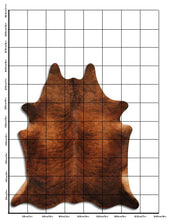 Načíst obrázek do prohlížeče Galerie, Exotická hovězí kůže XXL
