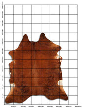 Načíst obrázek do prohlížeče Galerie, Exotická hovězí kůže XXL
