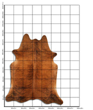 Načíst obrázek do prohlížeče Galerie, Exotická hovězí kůže XL
