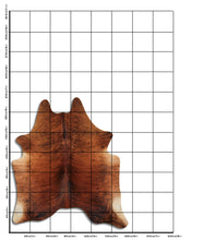 Įkelti vaizdą į galerijos rodinį, Egzotinis karvės kailis L
