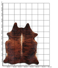 Načíst obrázek do prohlížeče Galerie, Exotická hovězí kůže XL
