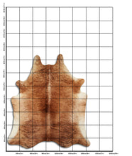 Načíst obrázek do prohlížeče Galerie, Exotická hovězí kůže XL
