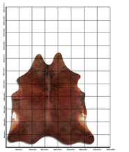 Načíst obrázek do prohlížeče Galerie, Exotická hovězí kůže XL
