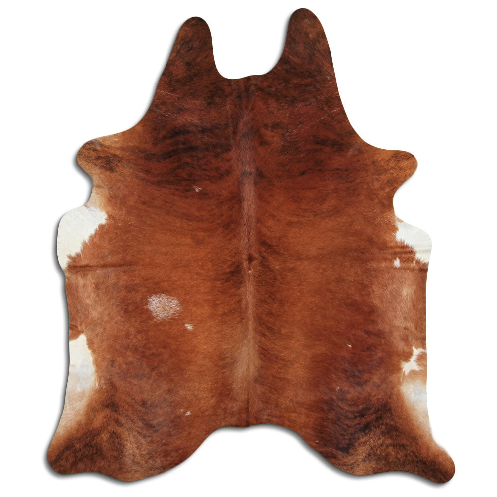Exotická hovězí kůže XXL