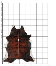Načíst obrázek do prohlížeče Galerie, Exotická hovězí kůže XL
