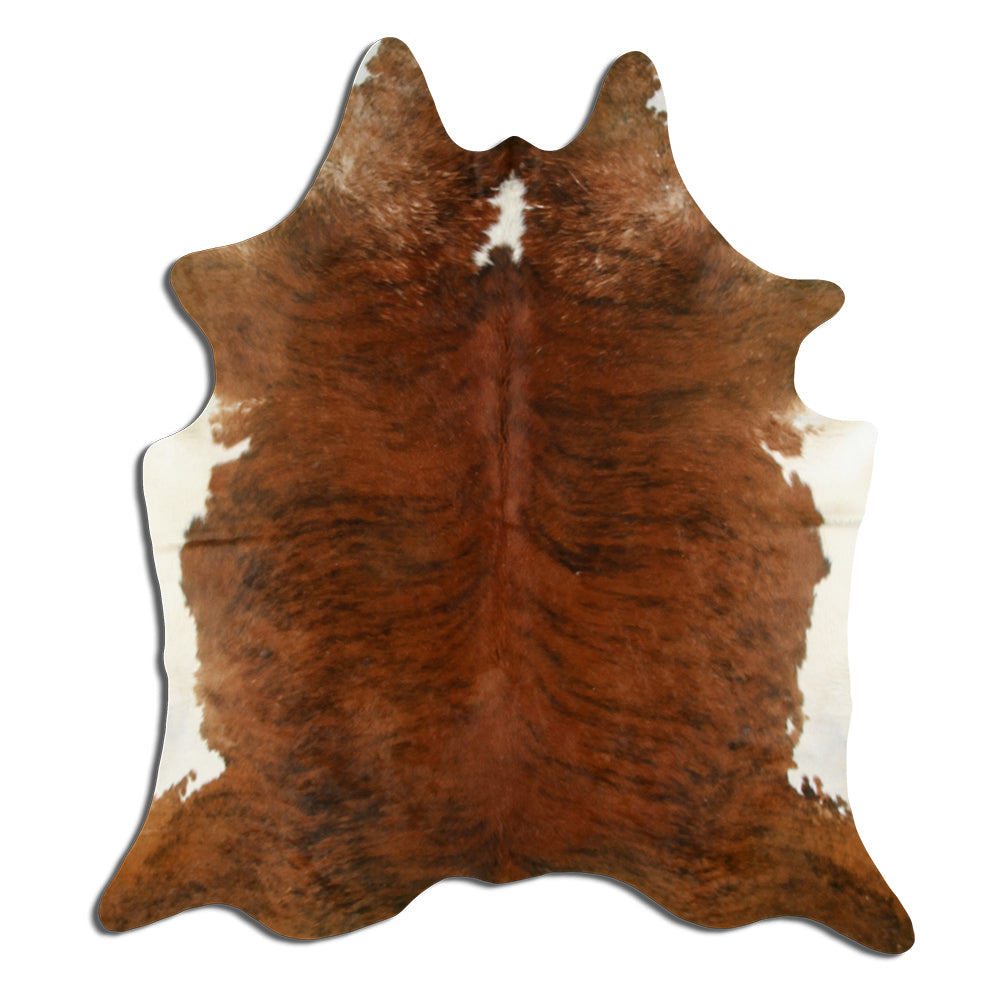 Exotická hovězí kůže XL