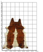 Načíst obrázek do prohlížeče Galerie, Exotická hovězí kůže XL
