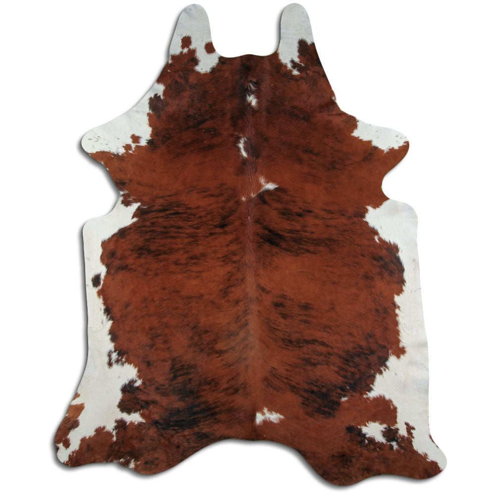 Exotická hovězí kůže XXL