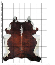 Načíst obrázek do prohlížeče Galerie, Exotická hovězí kůže &quot;Belly Backbone&quot; XXXL
