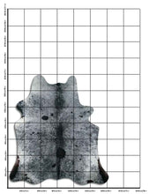 Įkelti vaizdą į galerijos rodinį, Salt and Pepper egzotinis karvės kailis L
