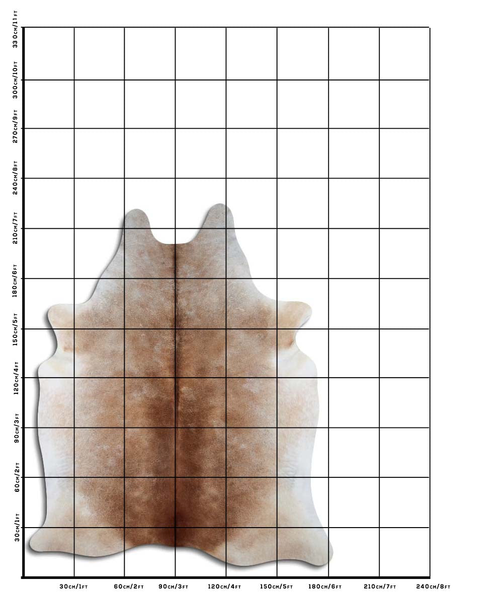 Hnědá hovězí kůže XL