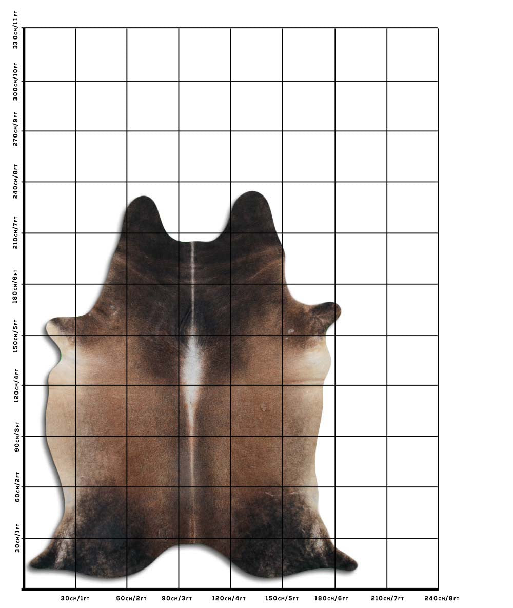 Hnědá hovězí kůže XXL