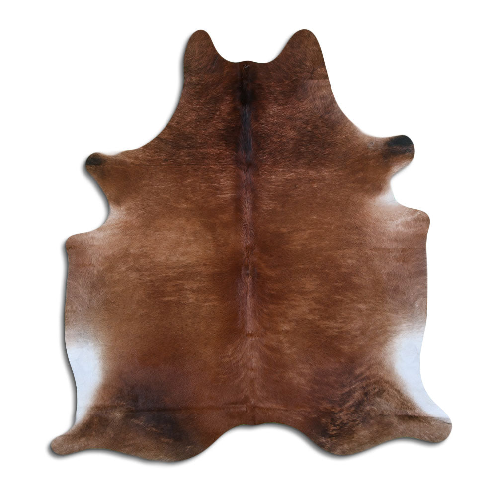 Exotická hovězí kůže XL