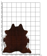 Įkelti vaizdą į galerijos rodinį, Rudas karvės kailis M
