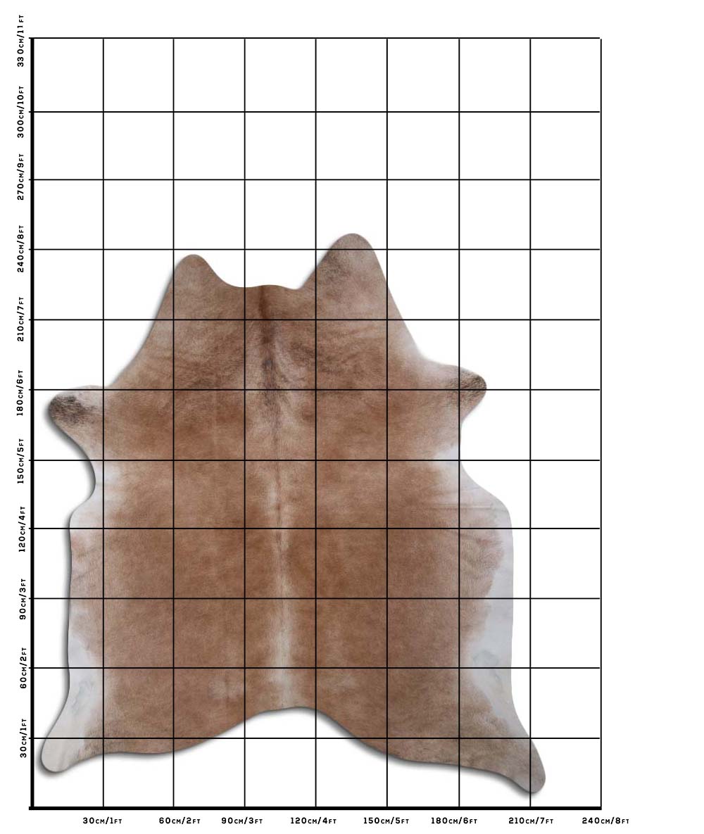 Hnědá hovězí kůže XXL