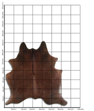 Įkelti vaizdą į galerijos rodinį, Rudas karvės kailis L
