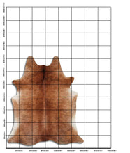 Načíst obrázek do prohlížeče Galerie, Hnědá hovězí kůže XL

