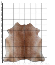 Načíst obrázek do prohlížeče Galerie, Hnědá hovězí kůže XL

