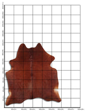 Įkelti vaizdą į galerijos rodinį, Rudas karvės kailis L
