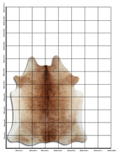 Načíst obrázek do prohlížeče Galerie, Hnědá hovězí kůže XL
