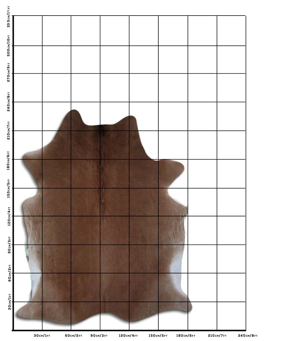 Šampaňská hovězí kůže XL