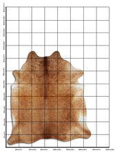 Įkelti vaizdą į galerijos rodinį, Rudas karvės kailis XL
