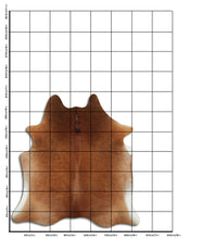 Įkelti vaizdą į galerijos rodinį, Rudas karvės kailis L
