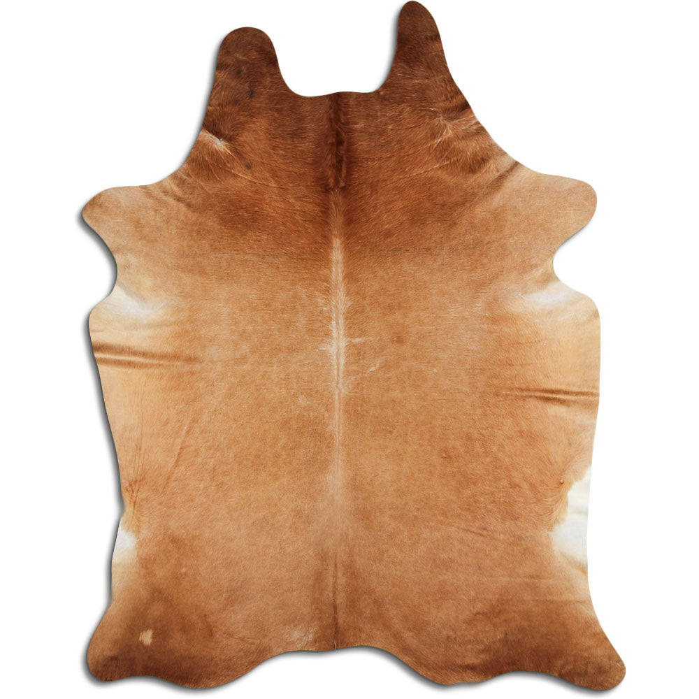 Hnědá hovězí kůže XXXL
