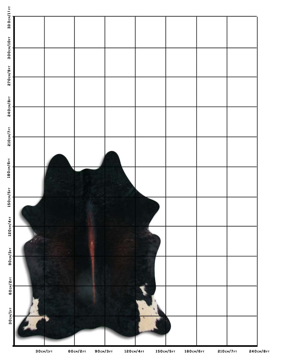 Hnědá hovězí kůže L