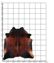 Įkelti vaizdą į galerijos rodinį, Rudas karvės kailis L
