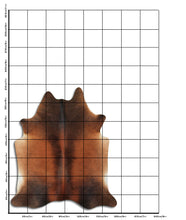 Įkelti vaizdą į galerijos rodinį, Rudas karvės kailis L
