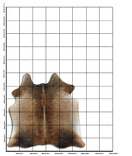 Įkelti vaizdą į galerijos rodinį, Rudas karvės kailis M
